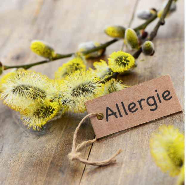 Allergie-Webinar